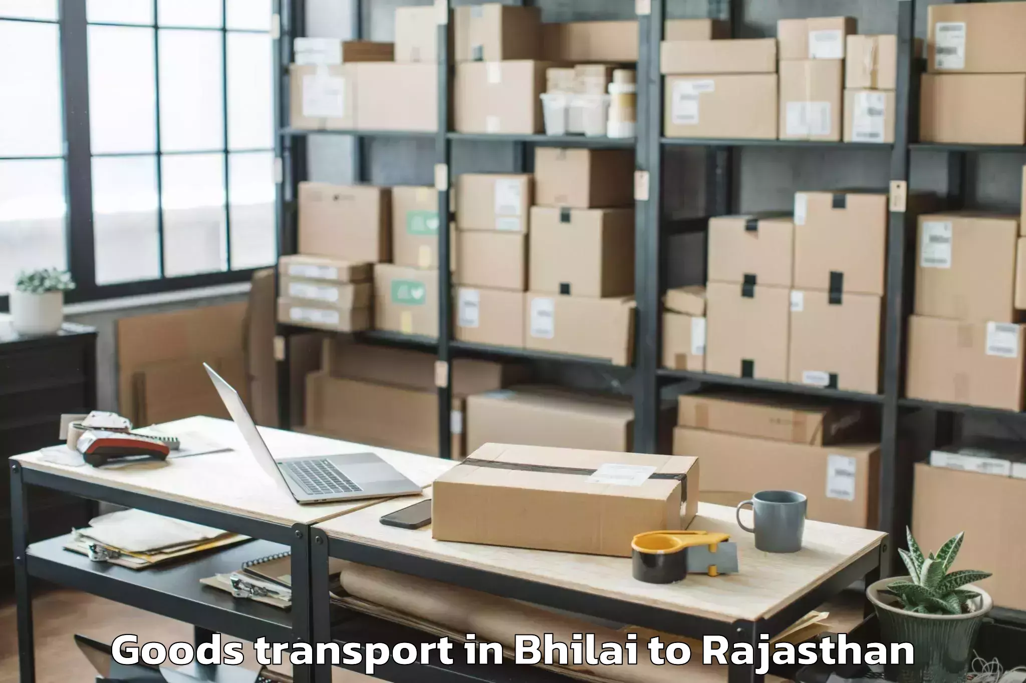 Trusted Bhilai to Banasthali Vidyapith Goods Transport